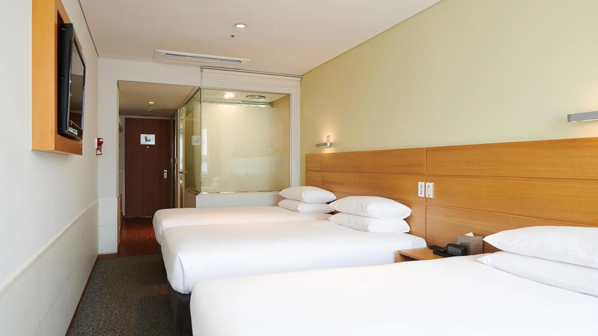 Nine Tree By Parnas Seoul Myeongdong 1 Otel